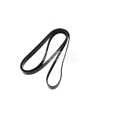 V-RIEM OEM DAYCO